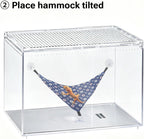 Kathson lizard climbing accessory demonstrating how the suction cups anchor to clean glass surfaces.