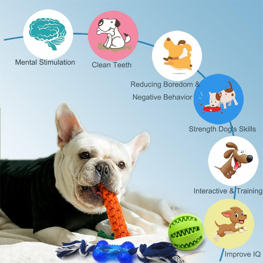 Beiker interactive squeaky balls and blue outdoor flying disc for puppies