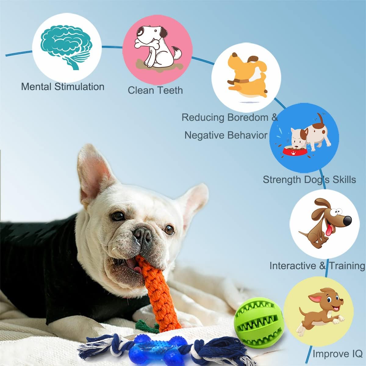 Beiker interactive squeaky balls and blue outdoor flying disc for puppies