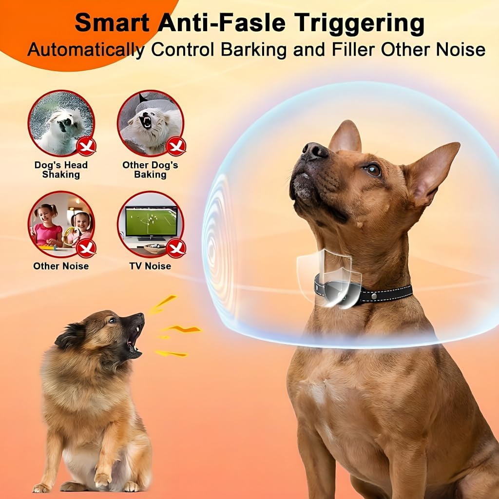 Canegis smart collar worn by a small dog