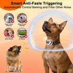 Canegis smart collar worn by a small dog