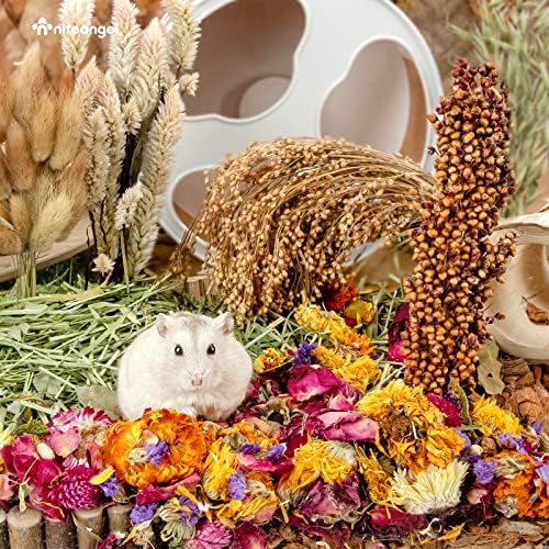 Niteangel Natural & Soft Hamster Bedding Mate Small Animal Habitat Decor for Syrian Dwarf Hamsters Gerbils Mice Degus Bunny or Other Small-Sized Pet (Flowers Scent Path) - Image 7