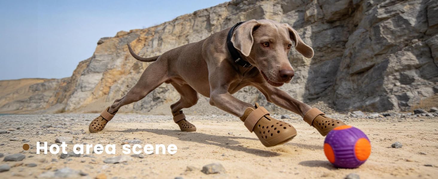 Front opening mechanism of Hertiendo dog footwear