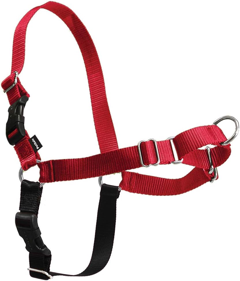PetSafe Easy Walk No-Pull Dog Harness - Ultimate Harness to Help Stop Pulling - Pull-Free Walks - Take Control & Teach Better Leash Manners - Patented Martingale Loop Design - Black, Large - Image 14