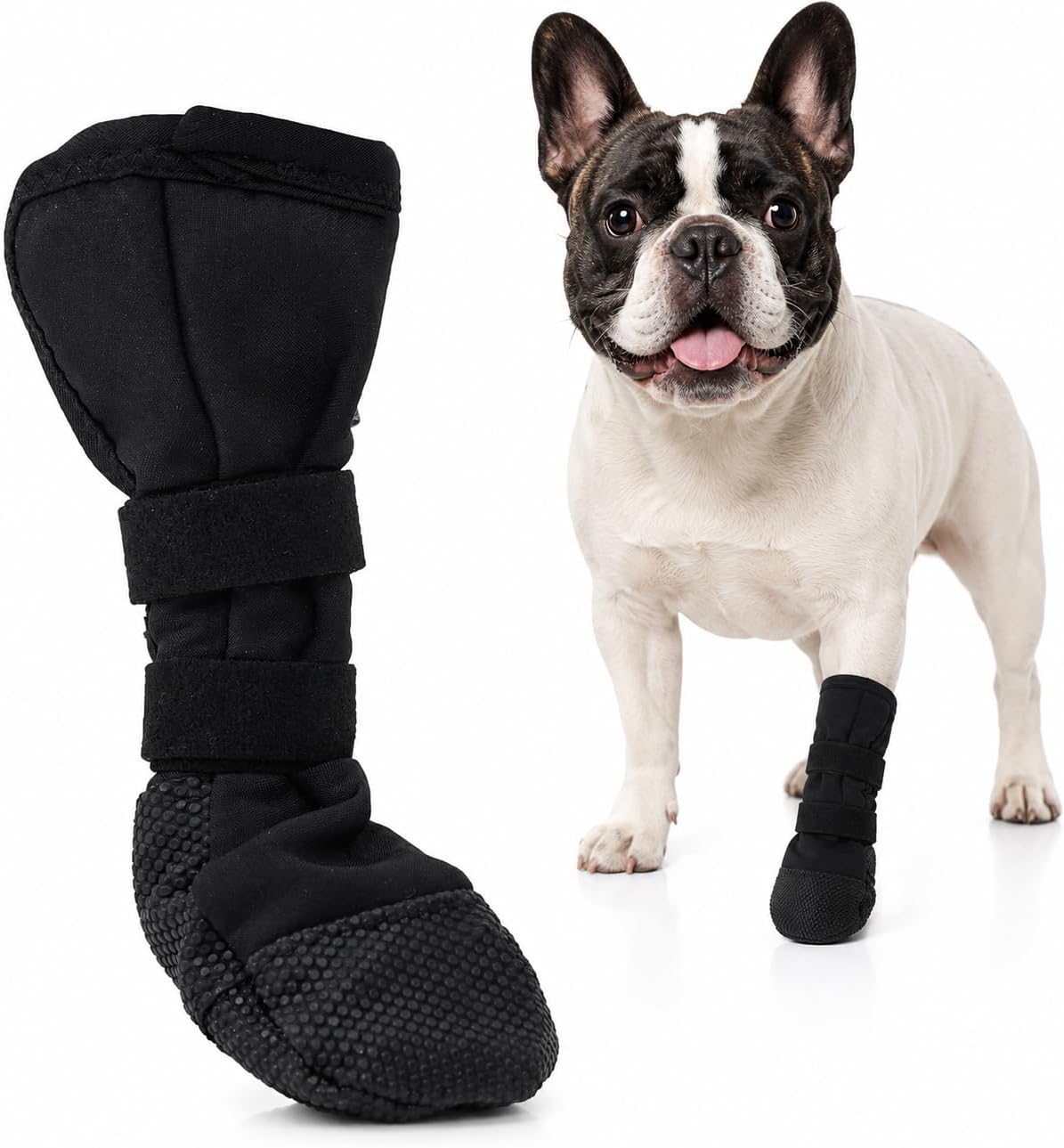 Medium dog walking with Ikipuko paw recovery boot