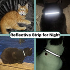 Water resistant protective tracking device housing attached to the premium black nylon kitten safety collar.