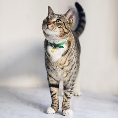 Loud crisp sound tracking bells for small pet collars