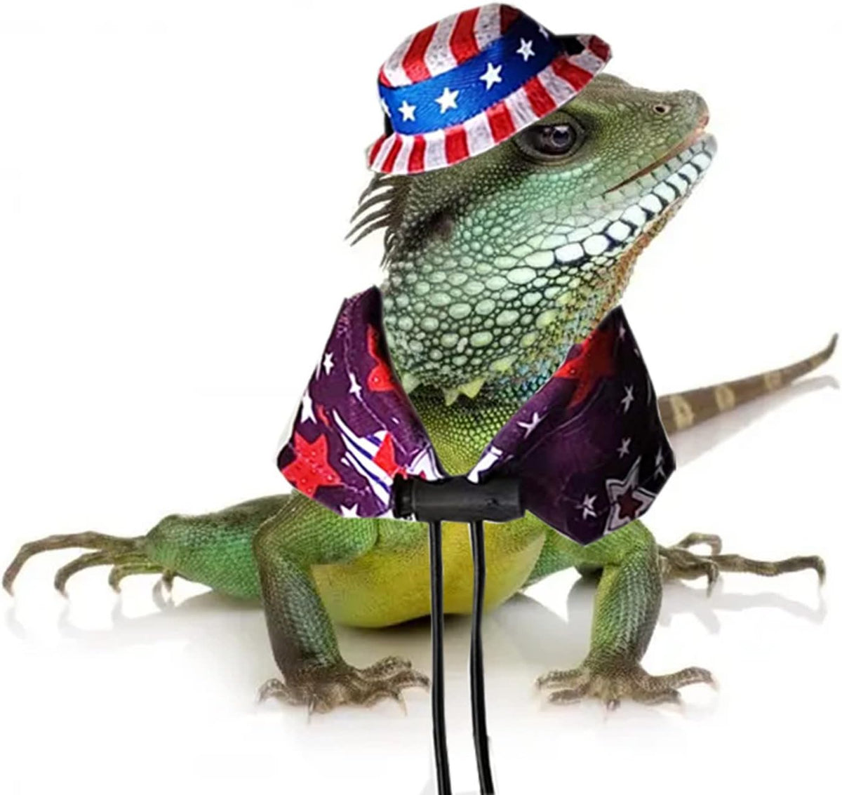 Handmade lizard cloak and mini hat accessories