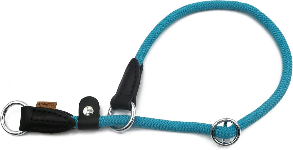 Aiminto braided martingale dog collar front view for leash training.