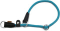Aiminto braided martingale dog collar front view for leash training.
