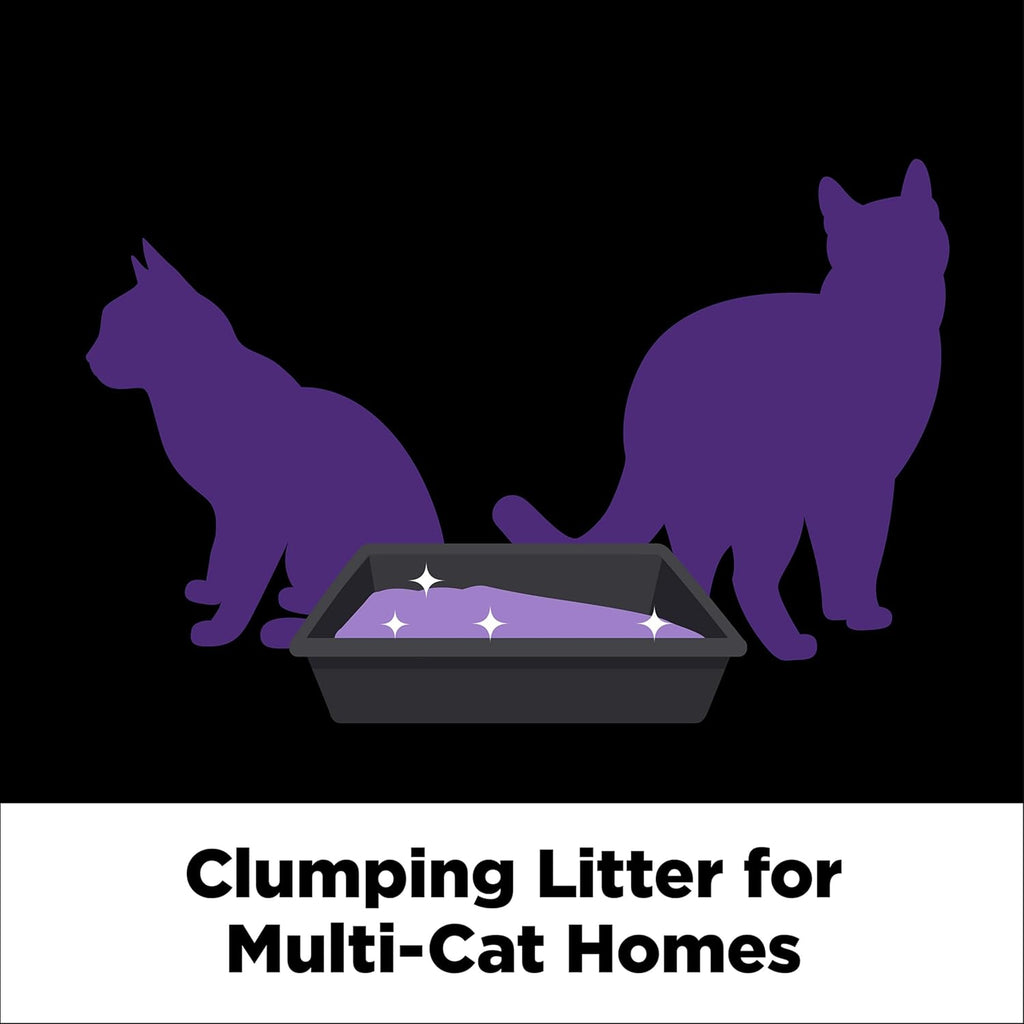 Arm and Hammer slide platinum multi cat litter back label with directions