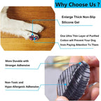 Senior dog wearing black non-slip paw traction pads