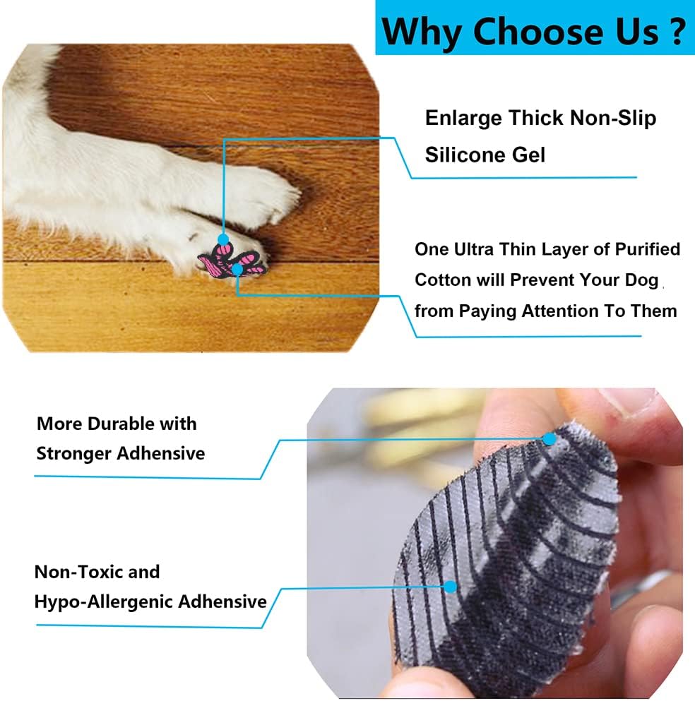 Senior dog wearing black non-slip paw traction pads