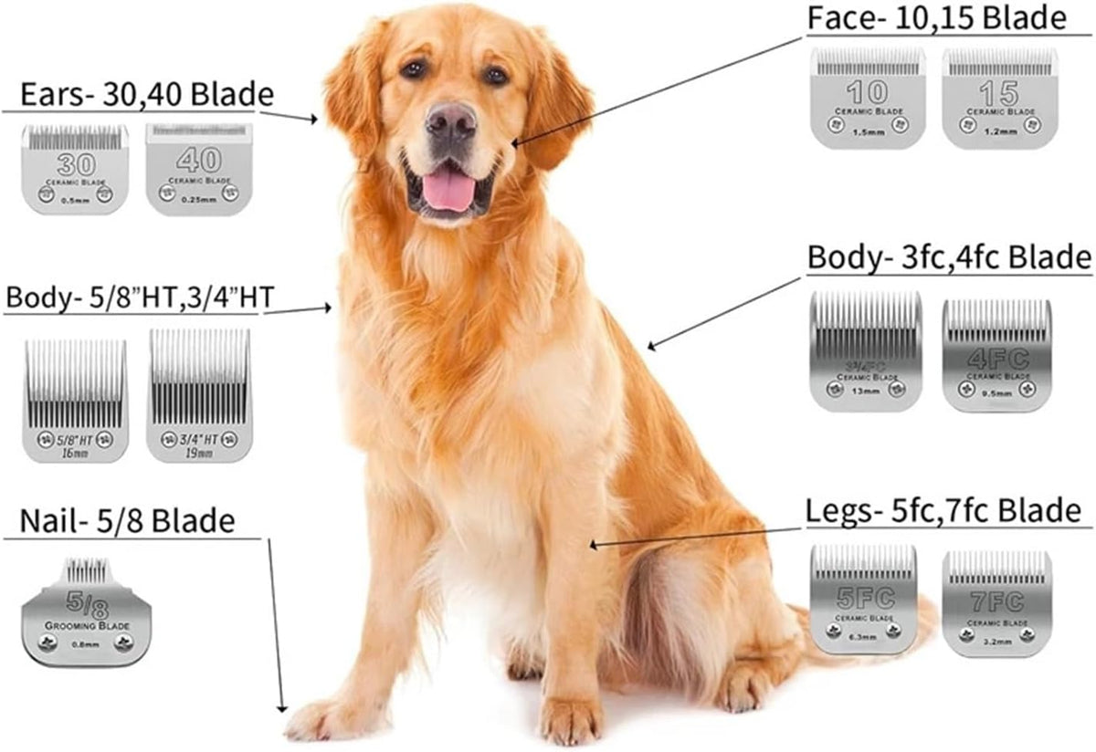 Compatible professional cat and dog grooming blade underside view