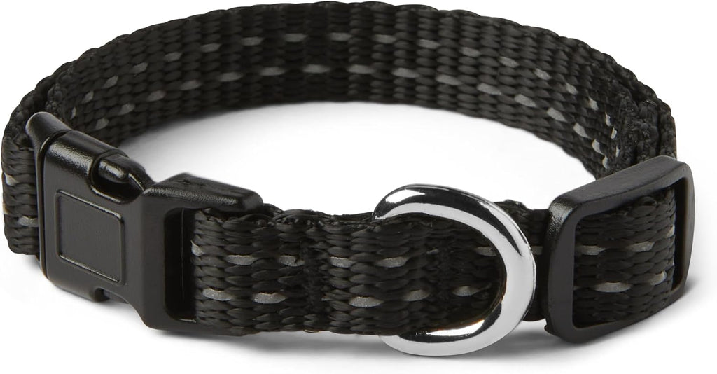 Amazon Basics dog seat belt attached to a dog harness