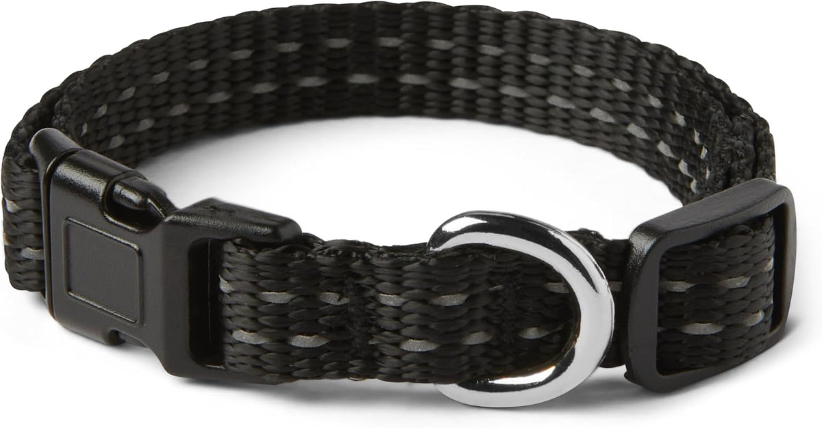 Amazon Basics dog seat belt attached to a dog harness