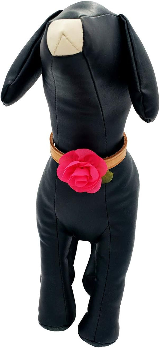 PET SHOW cat collar accessories angled view displaying soft chiffon petals
