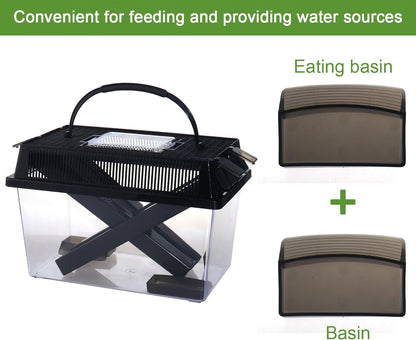 Reptile feeder insect habitat in use