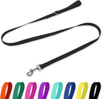 Secure metal clasp attachment on blue waterproof dog leash