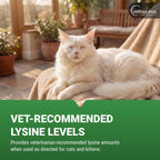 Vetoquinol Viralys L-Lysine supplement packaging side profile