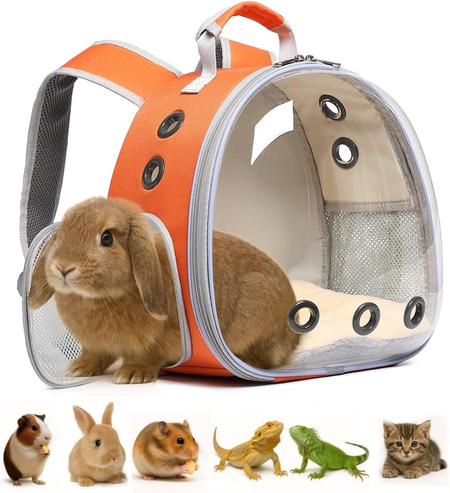 Bunny Carrier, Guinea Pig Carrier,Small Animal Carrier Backpack for Rabbit,Bearded Dragon, Lizard,Hamster,Kitten. Breathable Pet Travel Cage Bag Perfect for Vet Visits & Outdoor Adventures (Black) - Image 11