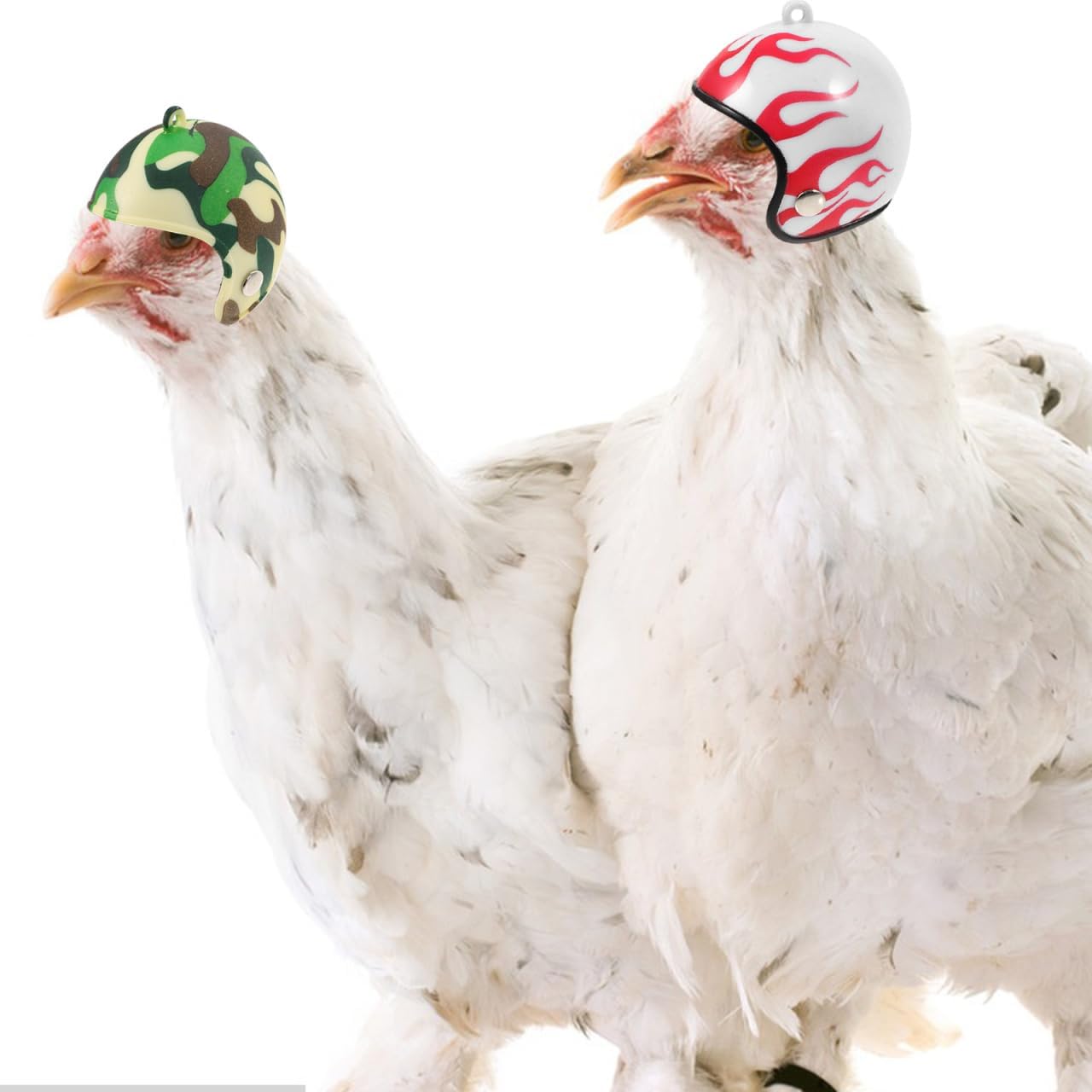 Miniature safety hard hats for backyard chickens and small avian pets.