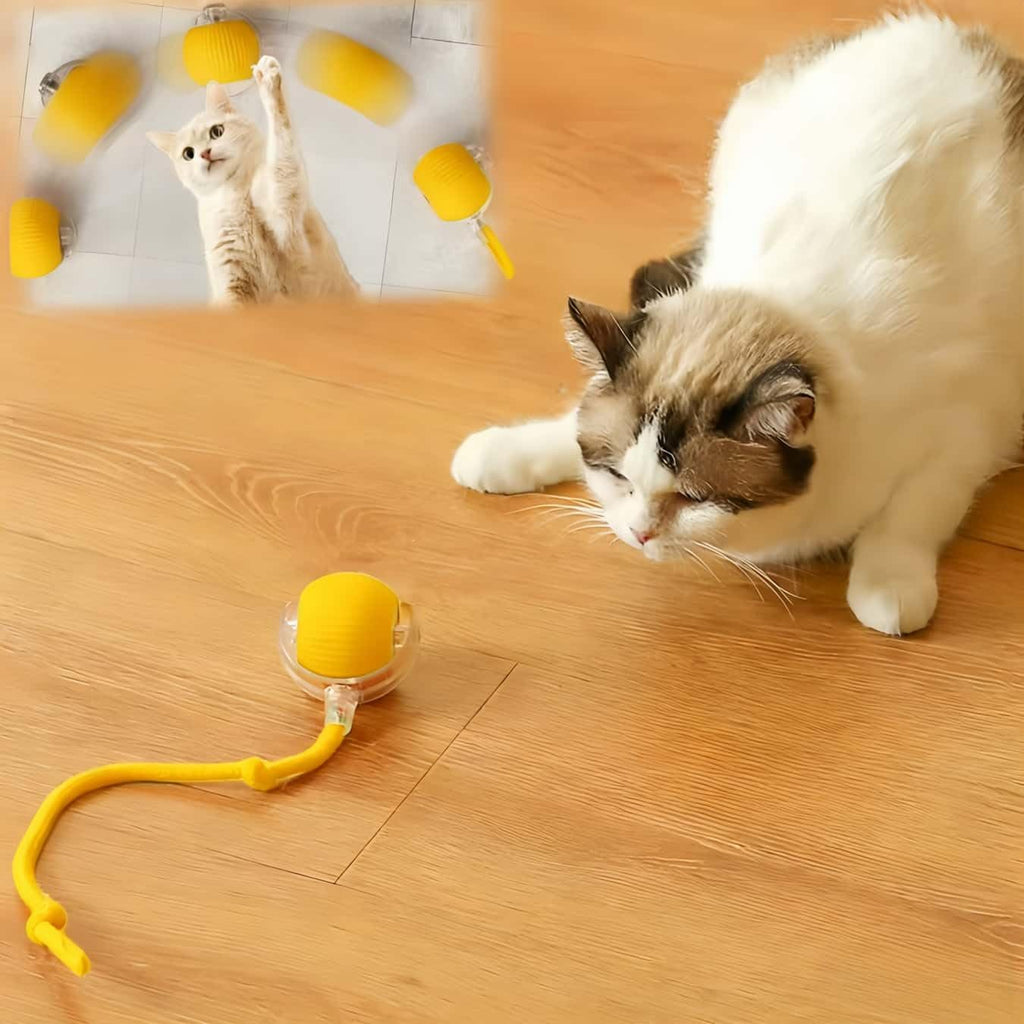 Interactive Cat Toys for Indoor Cats, Agility Move Cat Balls,Motion Activated Cat Balls, Cat Toys for Bored Indoor CatsGreen - Image 11