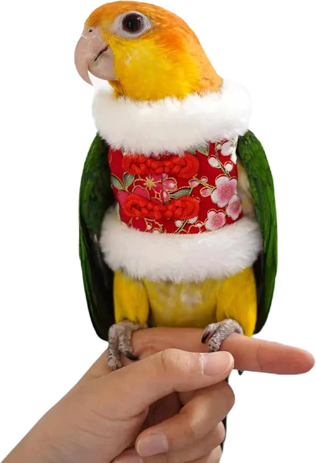 Bird Costume Diaper Flight Suit Bee Shape Clothes Cosplay Photo Prop for Parrots Lovebird Budgie Parakeet Cockatiel Sun Conure, Small Animals Apparel (Bee Without Diaper, Medium), Green (BPF1) - Image 10