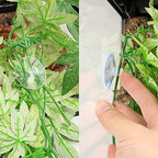SLSON terrarium climbing plant with secure suction mount