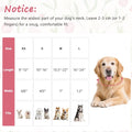 Tag4Oikia small dog collar with tulip print and metal hardware