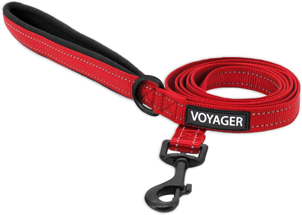 Best Pet Supplies Voyager Reflective Dog Leash or Collar with Neoprene Handle, for Small, Medium, and Large Breed Puppies, Cute and Heavy Duty for Walking, Running and Training - Baby Blue (Leash), S - Image 9