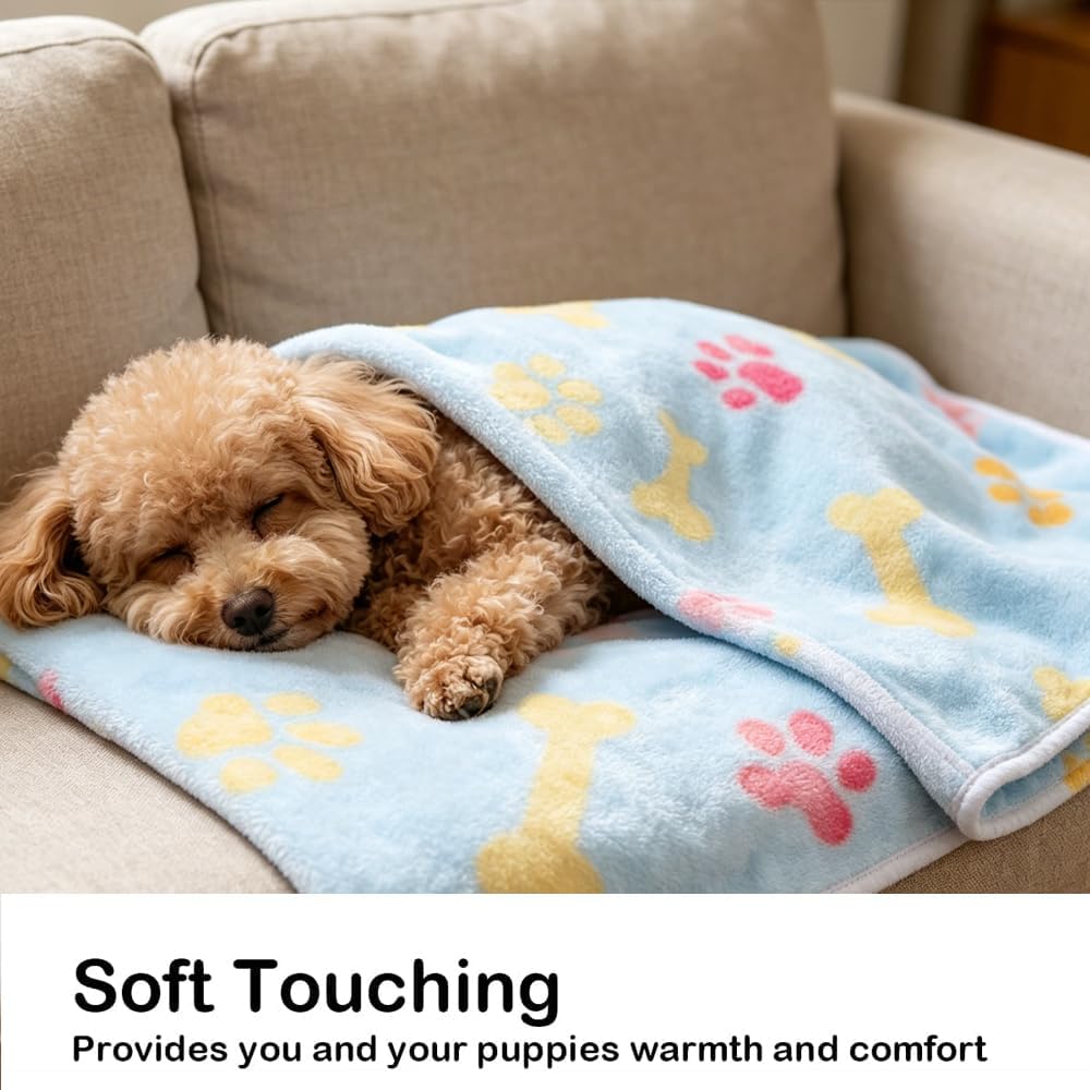 CADONO blue paw print pet blanket placed neatly inside a small dog travel crate.