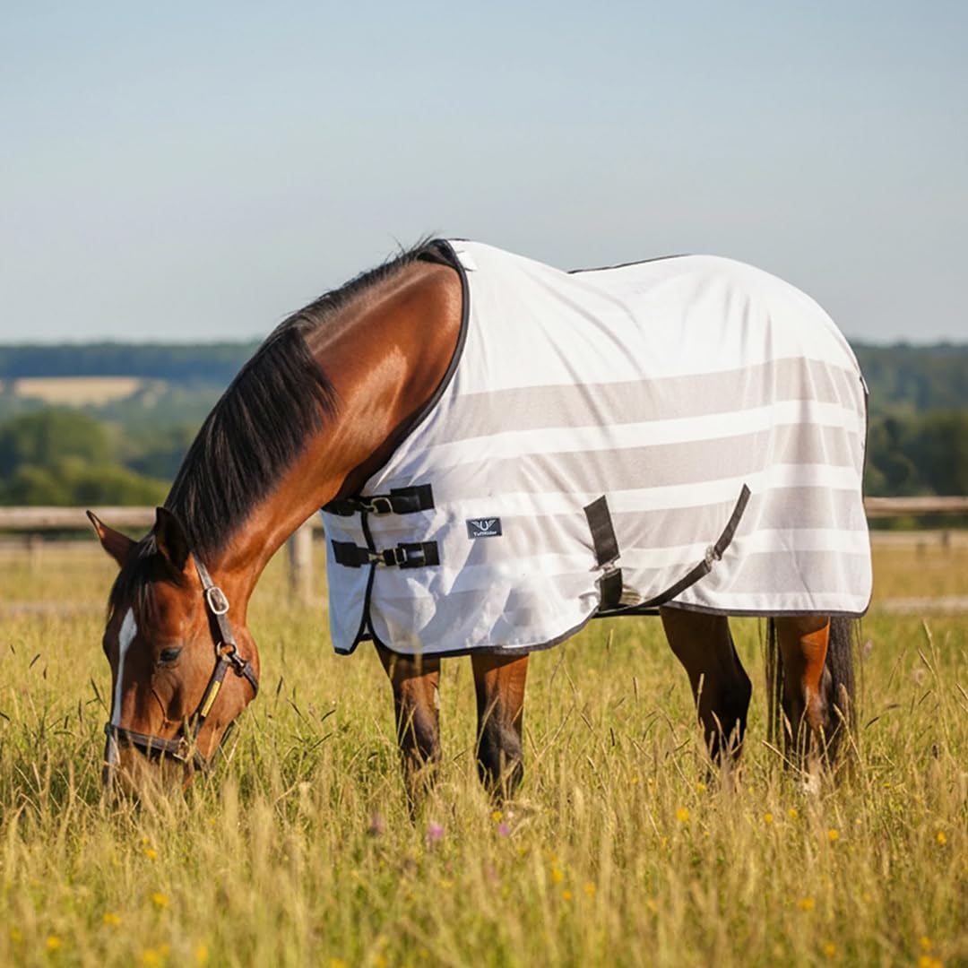 White lightweight horse fly blanket with double buckle closure