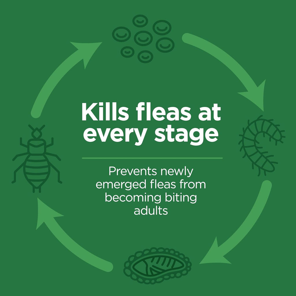 Safe application zone graphic for TevraPet cat flea drops at the base of skull.