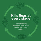 Safe application zone graphic for TevraPet cat flea drops at the base of skull.
