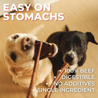 Dog enjoying long-lasting premium beef collagen dental treat