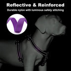 Plutus Pet large purple easy walk harness quick release snap buckles close up detail