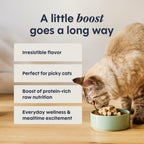 Instinct Raw Boost Mixers ingredient highlight graphic
