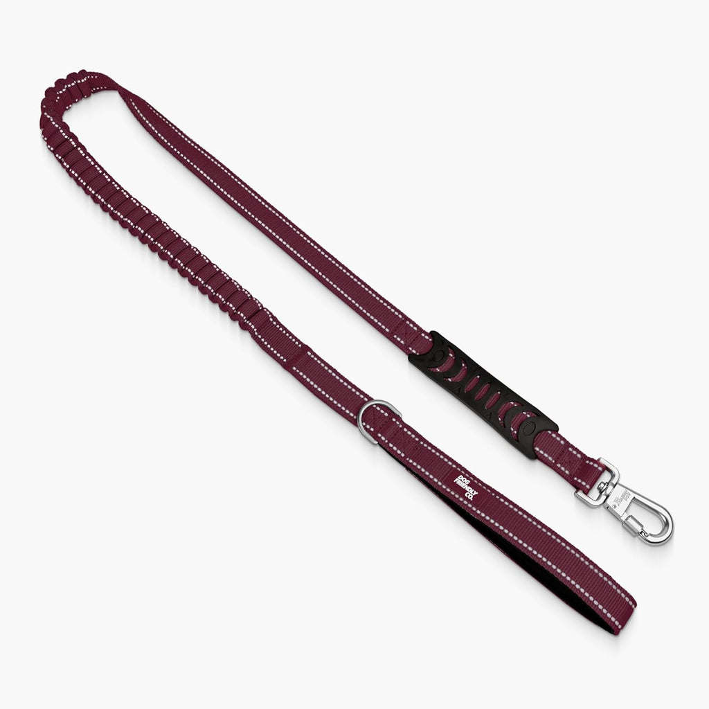 Dog Friendly Co. Bungee Dog Leash | Strain Free & Shock Resistant for Control | Neoprene Padded Handle, Heavy-Duty Carabiner Clip, and D-Ring | Khaki, Size Regular - Image 11