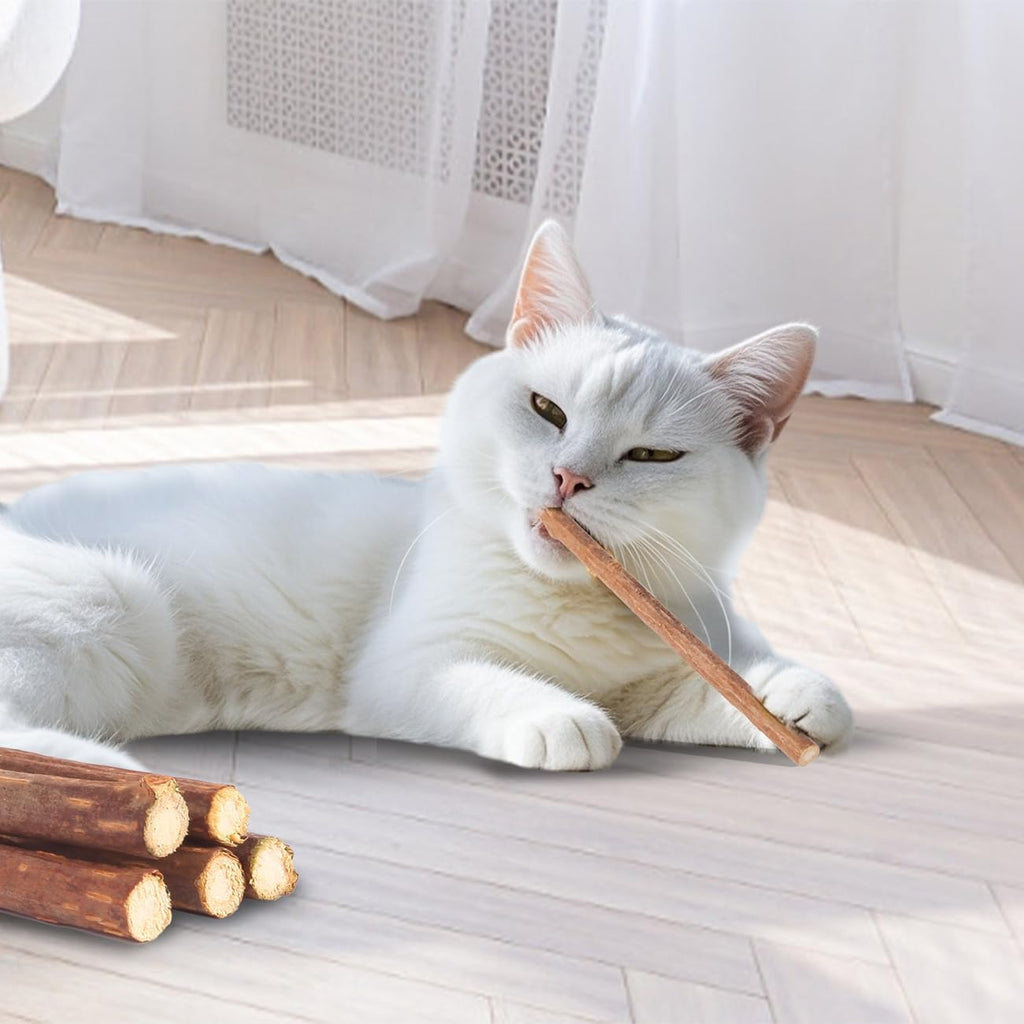 Cat chewing on durable sisal rope toy for oral health