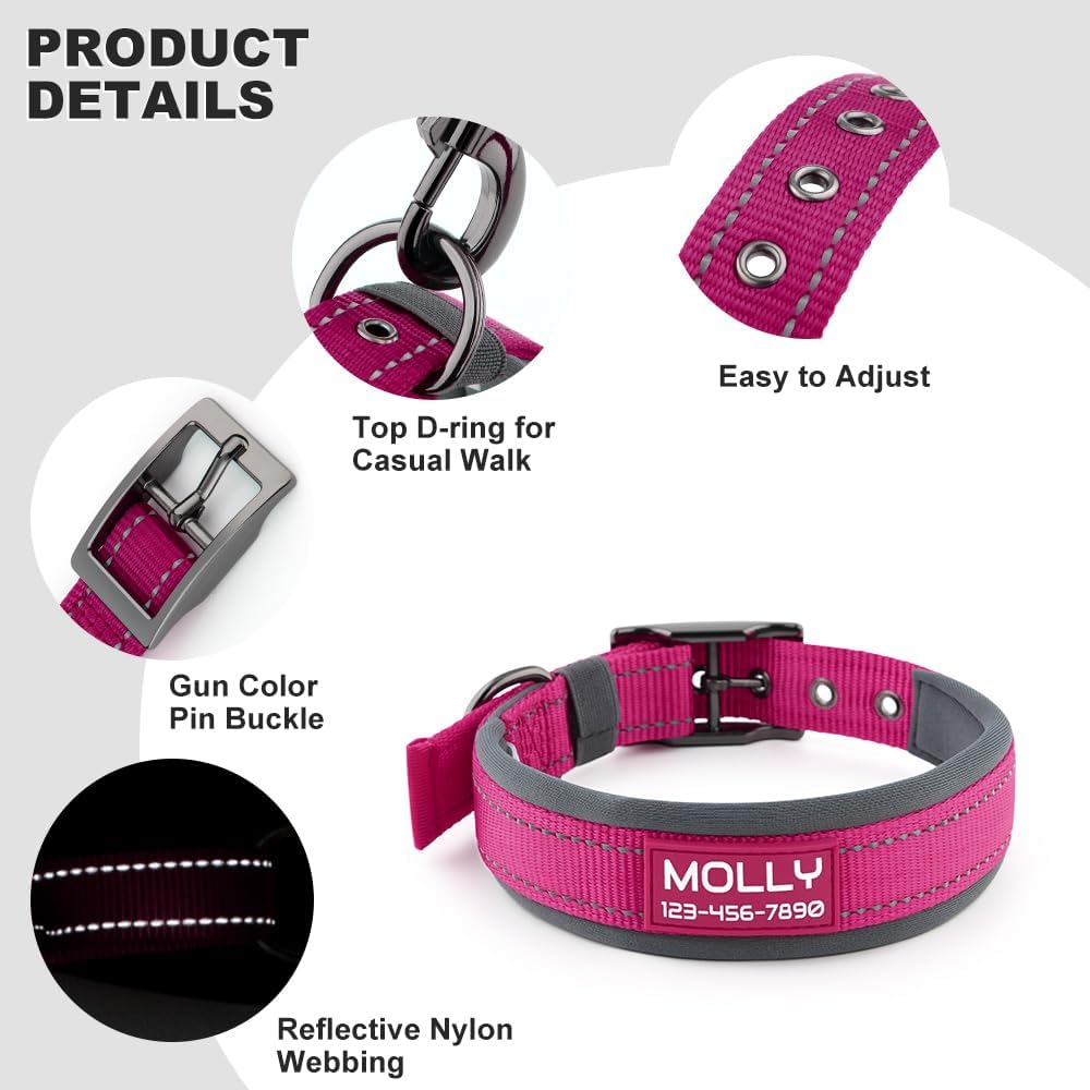 Reflective detail on Plutus Pet collar in low light