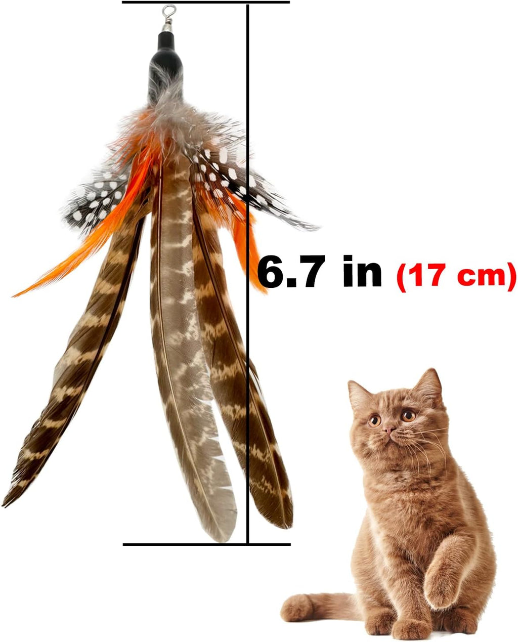 Six pieces of natural feather refills spread out to show individual variations
