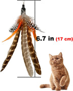 Six pieces of natural feather refills spread out to show individual variations