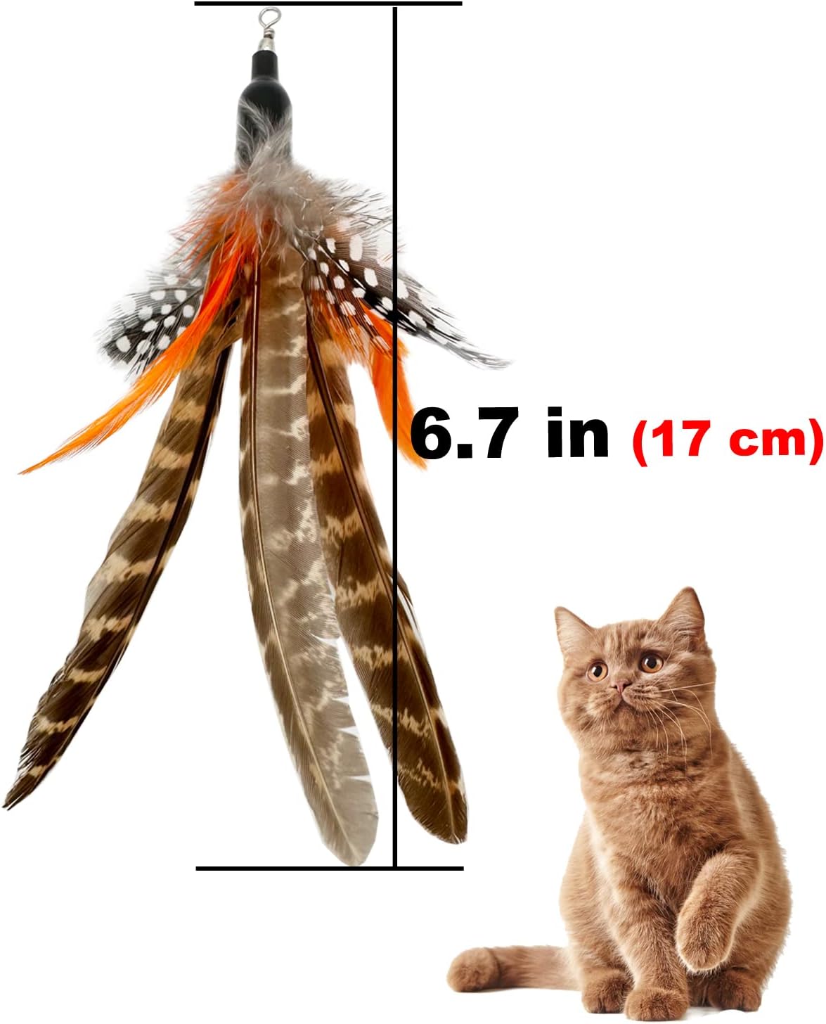 Six pieces of natural feather refills spread out to show individual variations