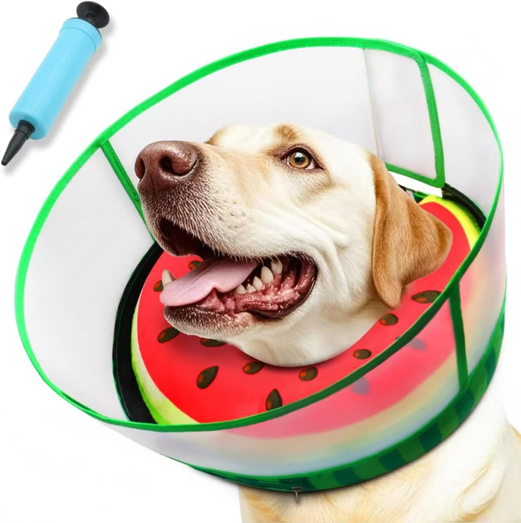 AThooDel inflatable dog cone collar front view watermelon design