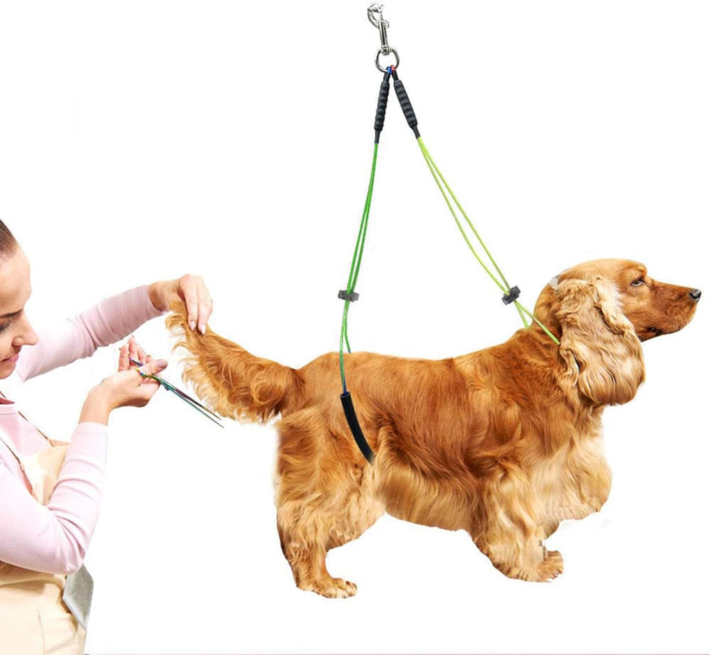 Demonstration of the no-sit haunch holder supporting a dog during grooming