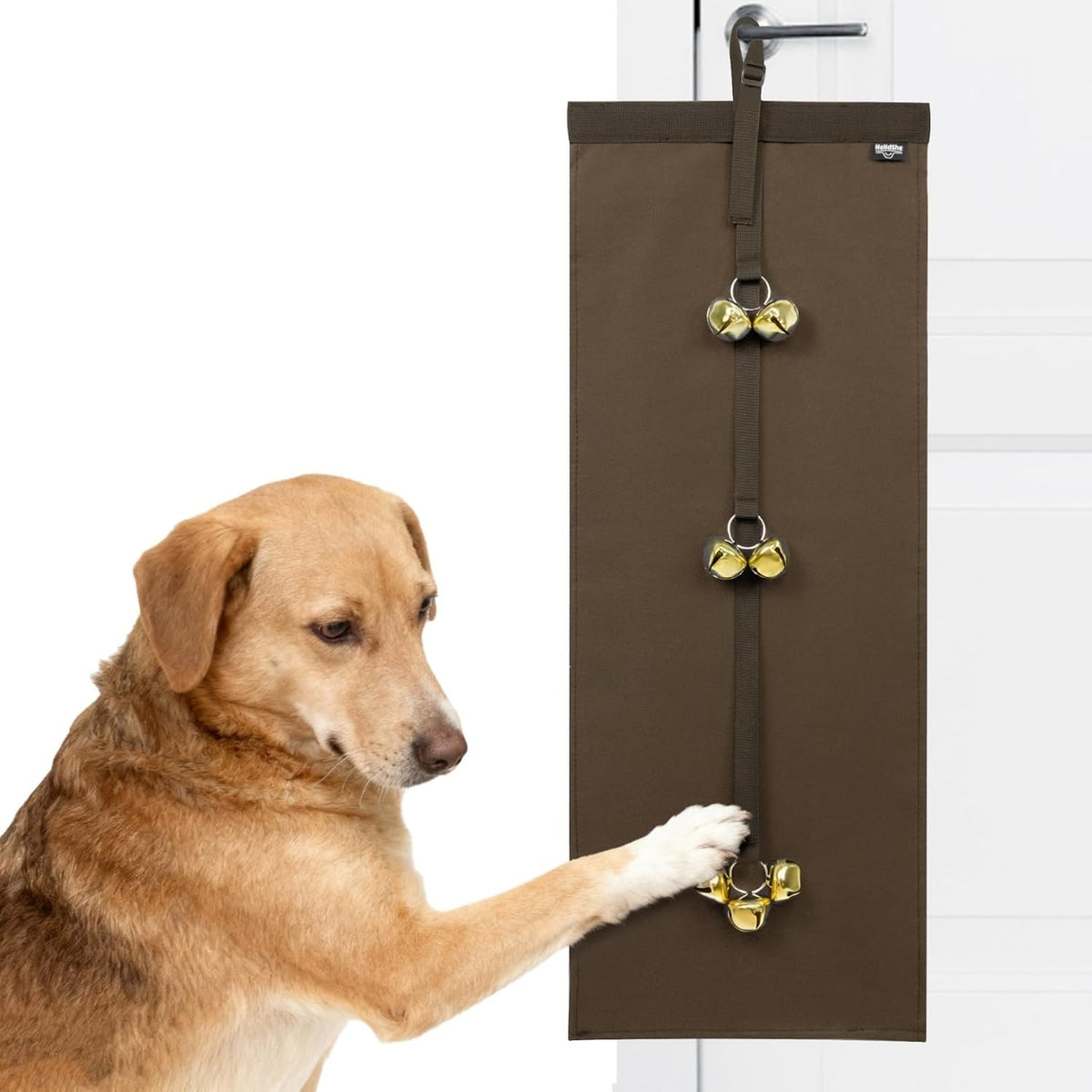HeNdShe pet communication tool mounted on a wooden door