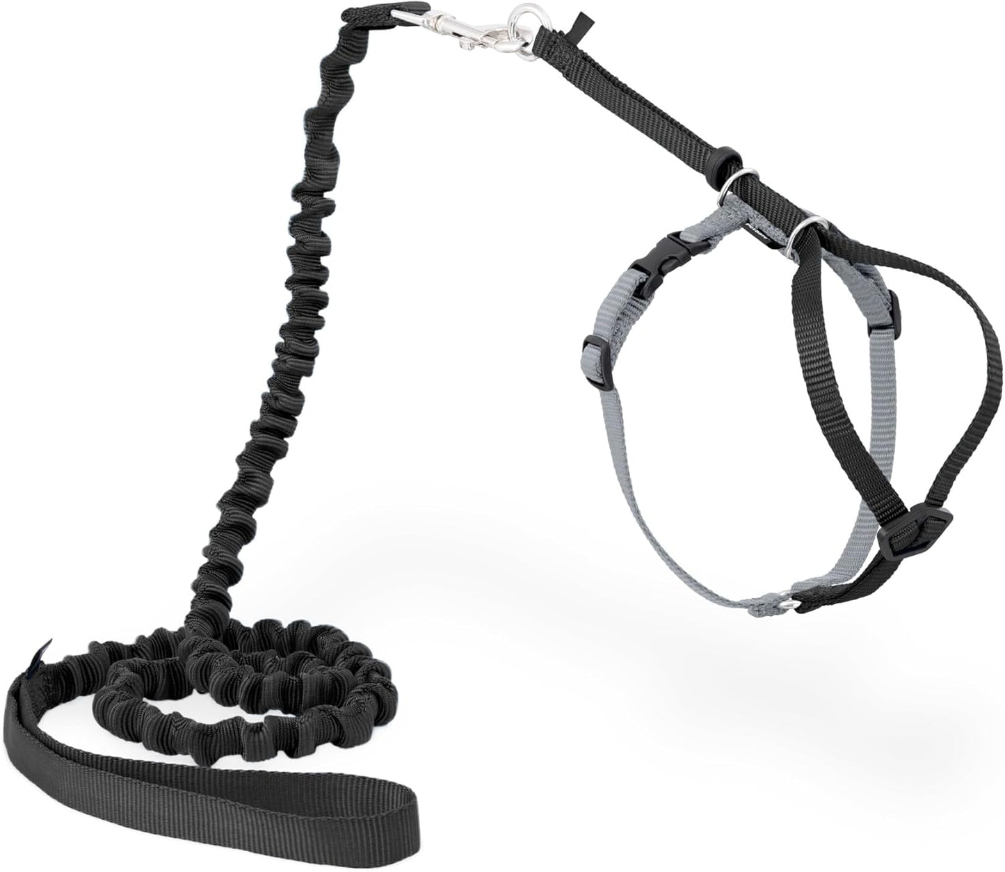 PetSafe Come with Me Kitty Harness and Bungee Leash Adjustable, Lightweight Harness for Cats Medium, Lilac - Image 13
