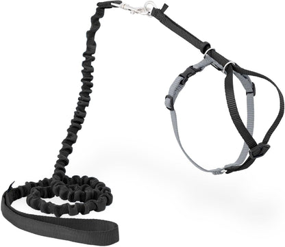 PetSafe Come with Me Kitty Harness and Bungee Leash Adjustable, Lightweight Harness for Cats Medium, Lilac - Image 13