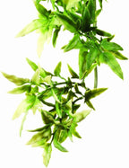 Exo Terra Plastic Terrarium Plant, Small, Mandarin - Image 9